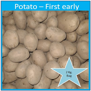 Potato First Early 'Accord' 2 Kg. Bag